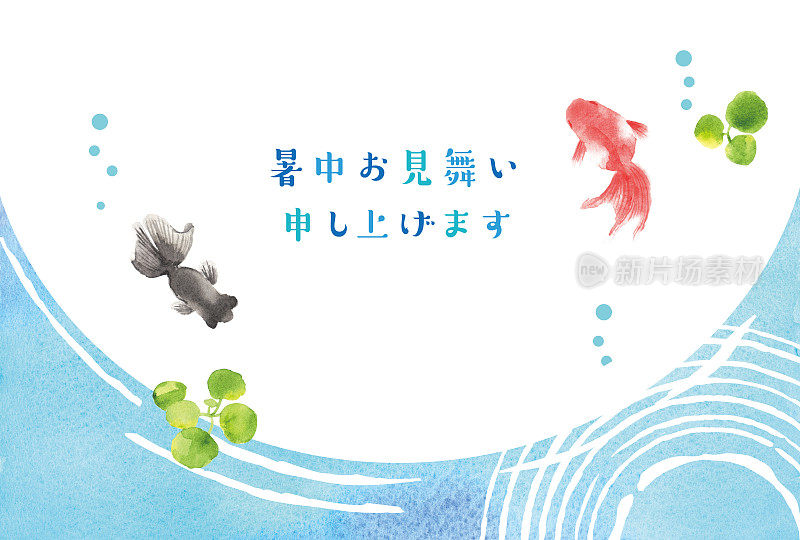 金鱼在水面上泛起阵阵涟漪。夏天的贺卡。/日语翻译为“夏日问候你”